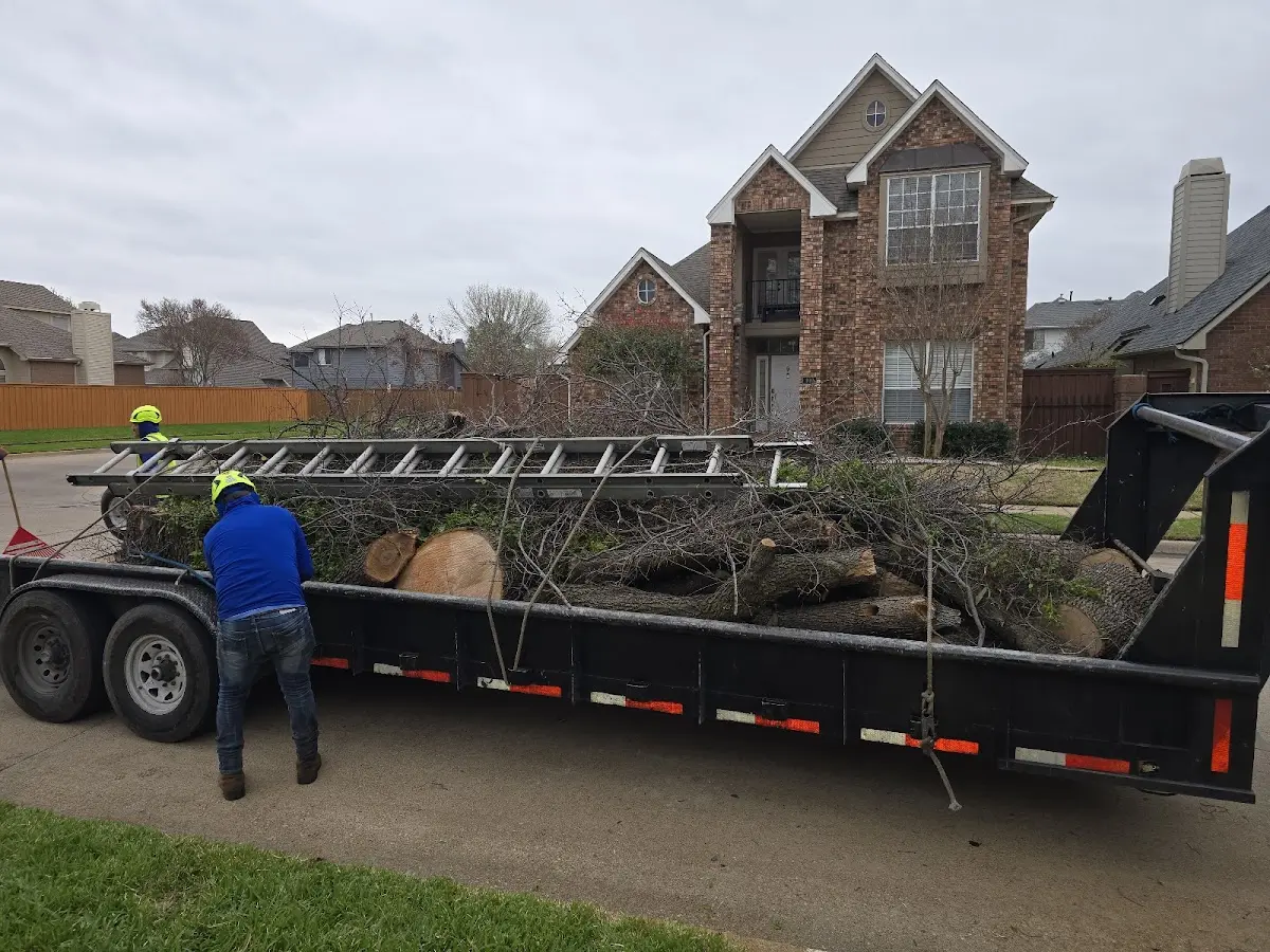 Expert Tree Removal with proper safety equipment in Eagle Point